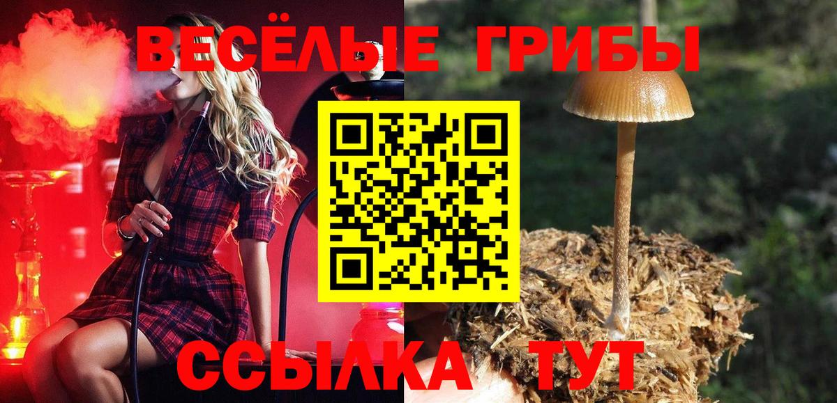 купить наркотики сайты  Вход с VPN  Нальчик  Псилоцибиновые грибы MAGIC MUSHROOMS 